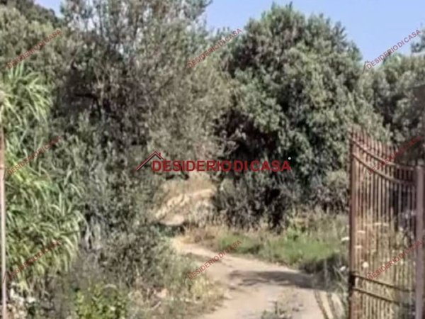 terreno agricolo in vendita a Termini Imerese