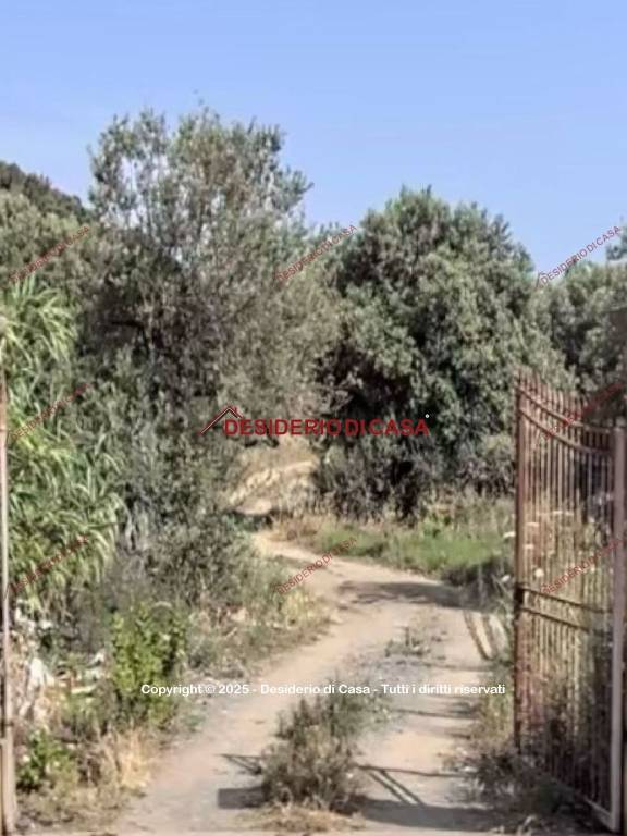 terreno agricolo in vendita a Termini Imerese