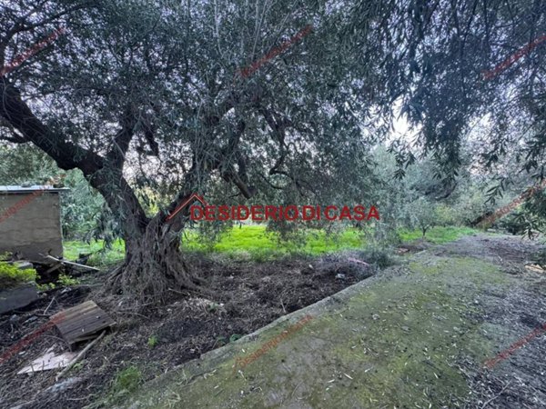 terreno agricolo in vendita a Termini Imerese