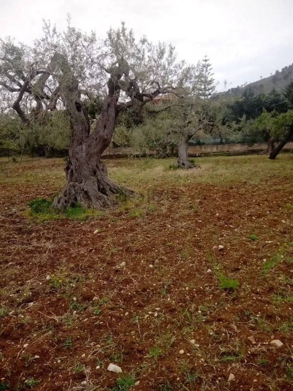 casa indipendente in vendita a Termini Imerese