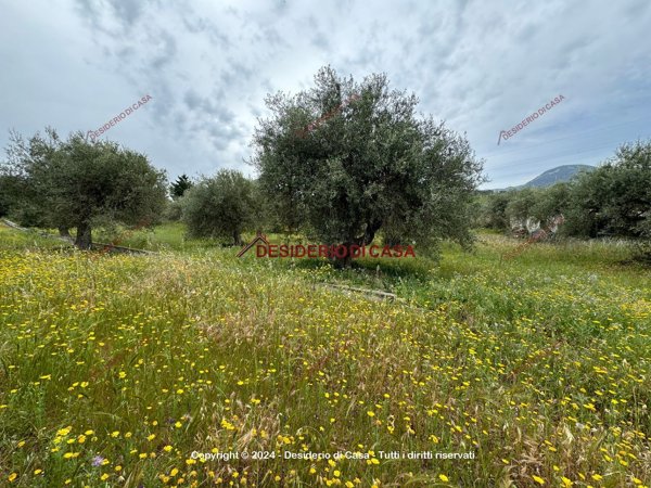 terreno edificabile in vendita a Termini Imerese