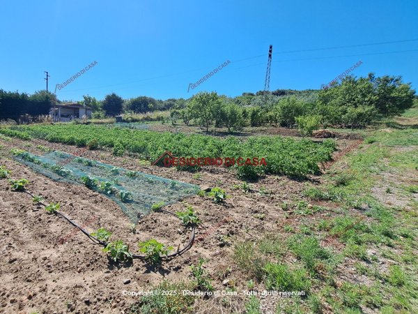 terreno agricolo in vendita a Termini Imerese