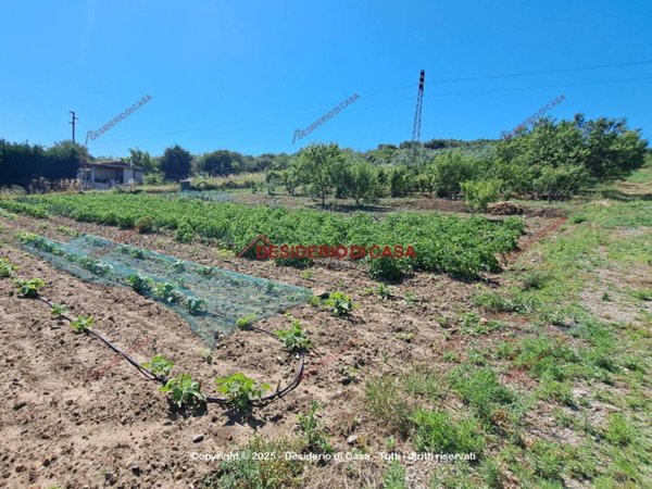 terreno agricolo in vendita a Termini Imerese