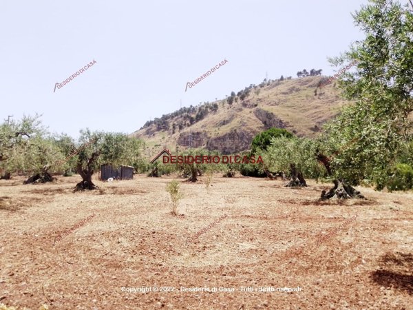 casa indipendente in vendita a Termini Imerese