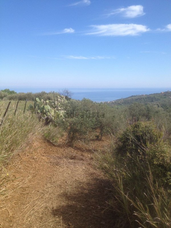 terreno agricolo in vendita a Termini Imerese
