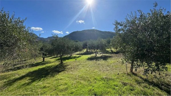 casa indipendente in vendita a Termini Imerese