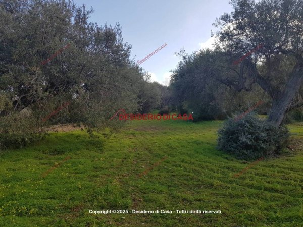 terreno agricolo in vendita a Termini Imerese