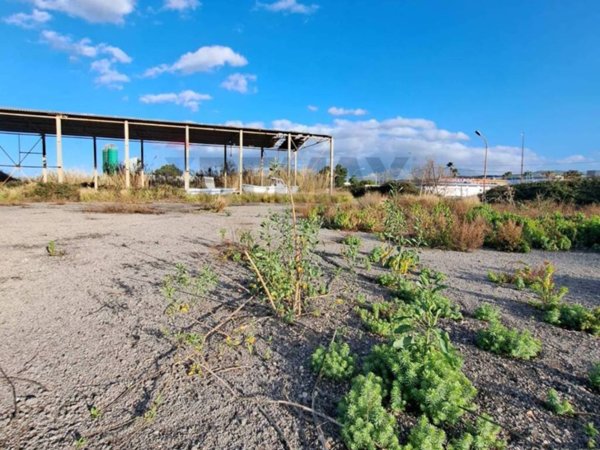 immagine annuncio 0 di 1