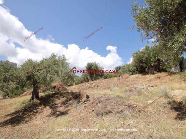 terreno agricolo in vendita a Termini Imerese