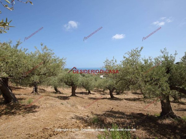 terreno agricolo in vendita a Termini Imerese