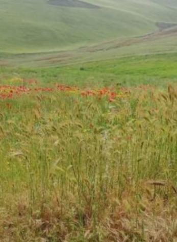 terreno edificabile in vendita a Termini Imerese