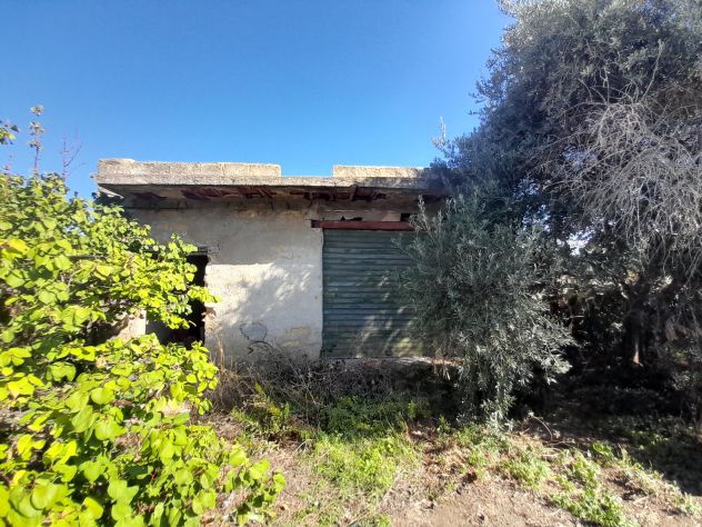 terreno agricolo in vendita a Termini Imerese