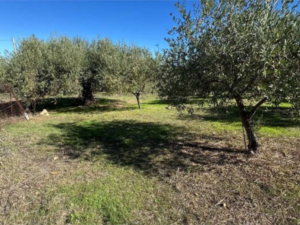 terreno agricolo in vendita a Termini Imerese