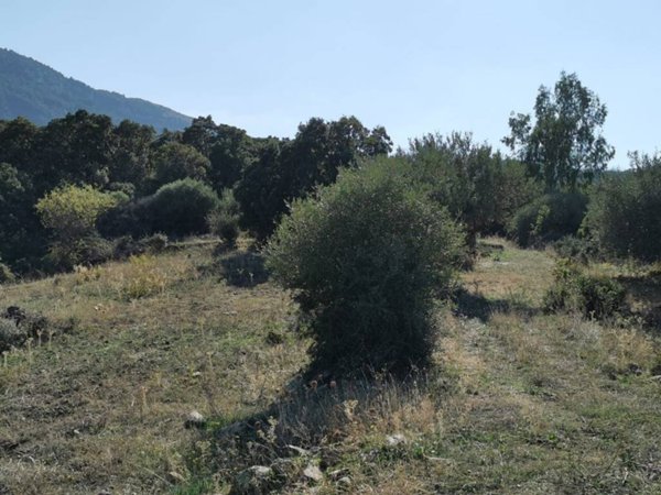 casa indipendente in vendita a Termini Imerese