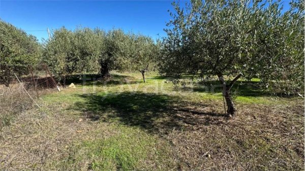 casa indipendente in vendita a Termini Imerese