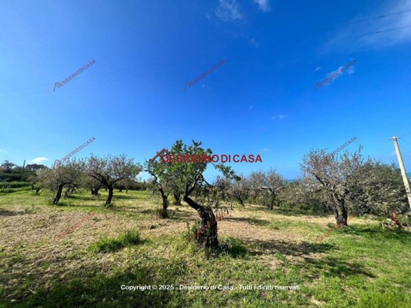 terreno agricolo in vendita a Termini Imerese