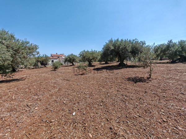 casa indipendente in vendita a Termini Imerese