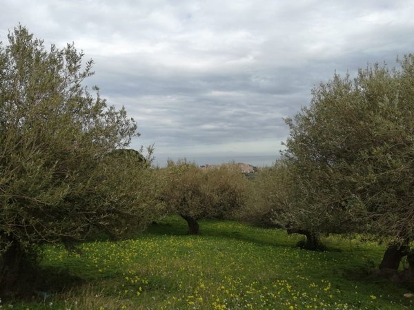 terreno in vendita a Termini Imerese