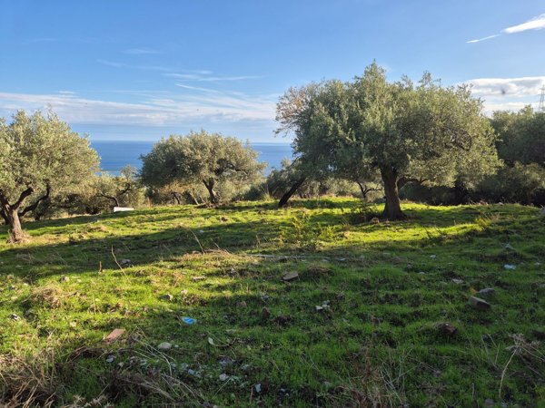 terreno in vendita a Termini Imerese