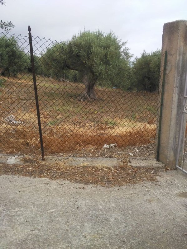 terreno in vendita a Termini Imerese