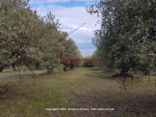 terreno in vendita a Termini Imerese