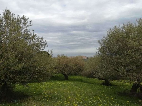 terreno in vendita a Termini Imerese