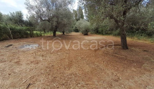 terreno agricolo in vendita a Terrasini