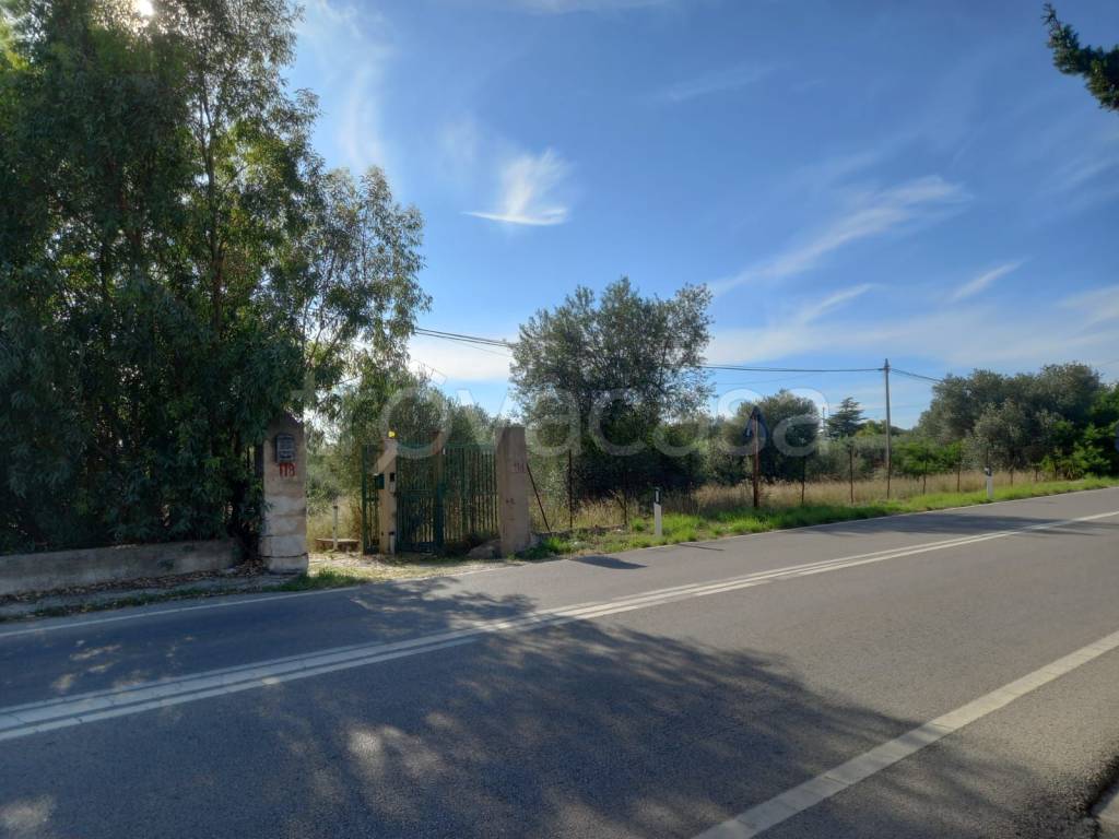terreno agricolo in vendita a Terrasini in zona Città del Mare/Perla del Golfo