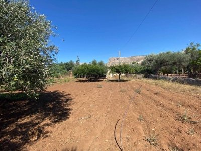 terreno edificabile in vendita a Terrasini in zona Agli Androni