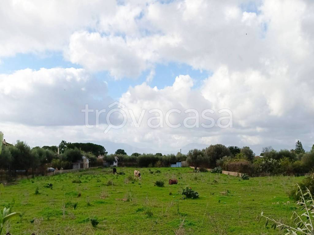 terreno agricolo in vendita a Terrasini
