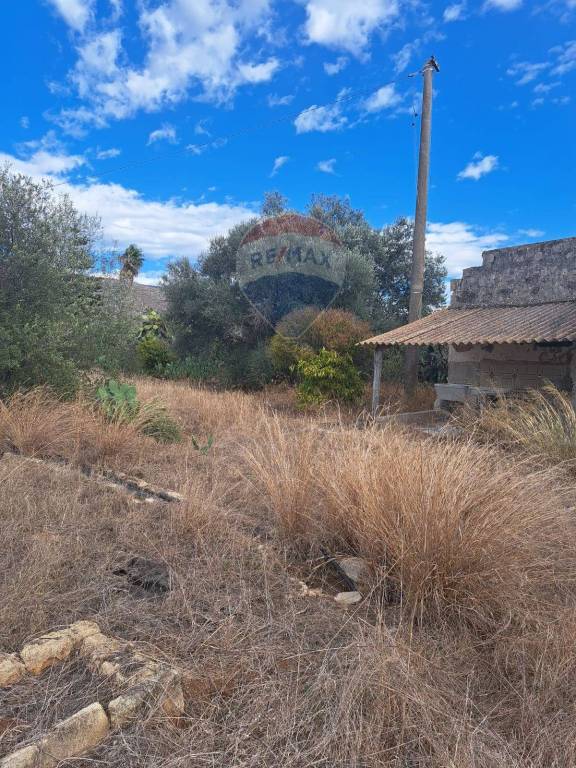 terreno agricolo in vendita a Terrasini in zona Paterna
