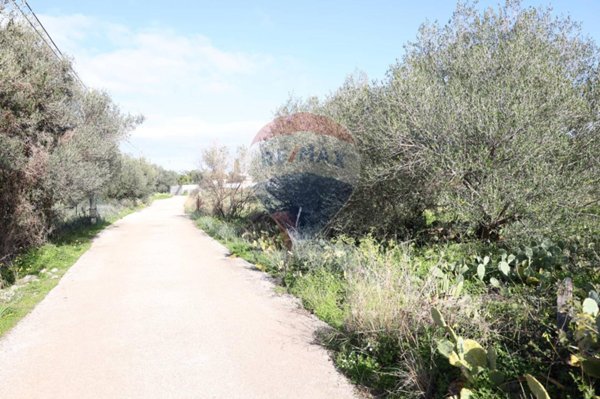 terreno agricolo in vendita a Terrasini in zona Serra
