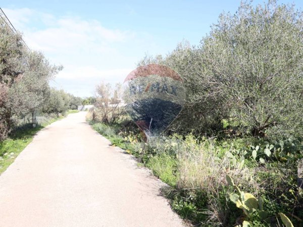 terreno agricolo in vendita a Terrasini in zona Serra