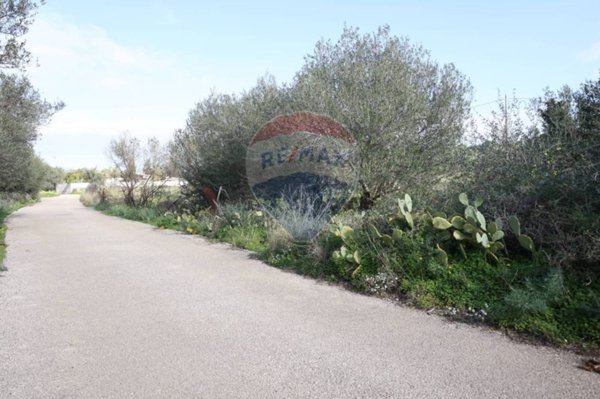 terreno edificabile in vendita a Terrasini in zona Serra