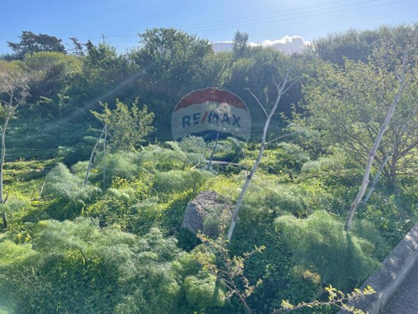 terreno agricolo in vendita a Terrasini