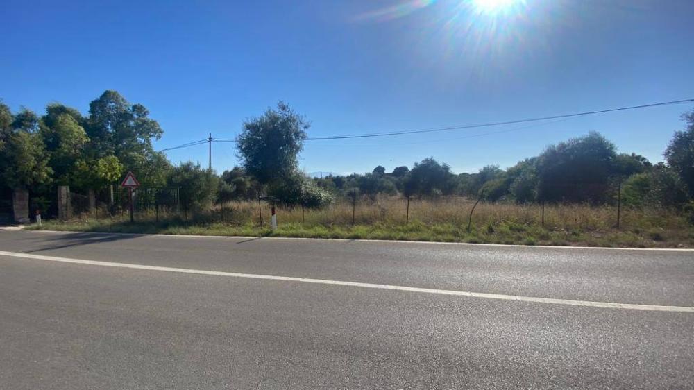 terreno agricolo in vendita a Terrasini in zona Città del Mare/Perla del Golfo