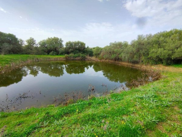 terreno agricolo in vendita a Terrasini in zona Paterna