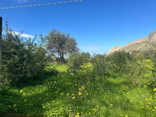 terreno agricolo in vendita a Terrasini