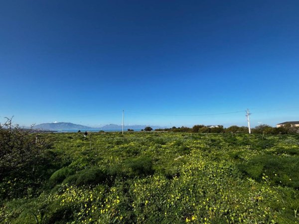 terreno agricolo in vendita a Terrasini