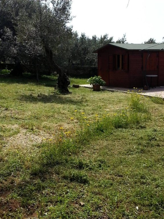casa indipendente in vendita a Terrasini in zona Città del Mare/Perla del Golfo