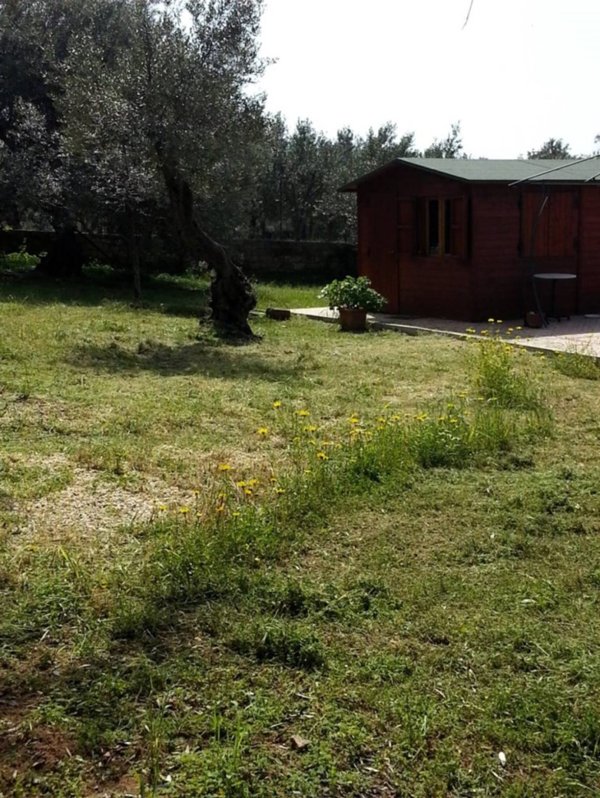 casa indipendente in vendita a Terrasini in zona Città del Mare/Perla del Golfo