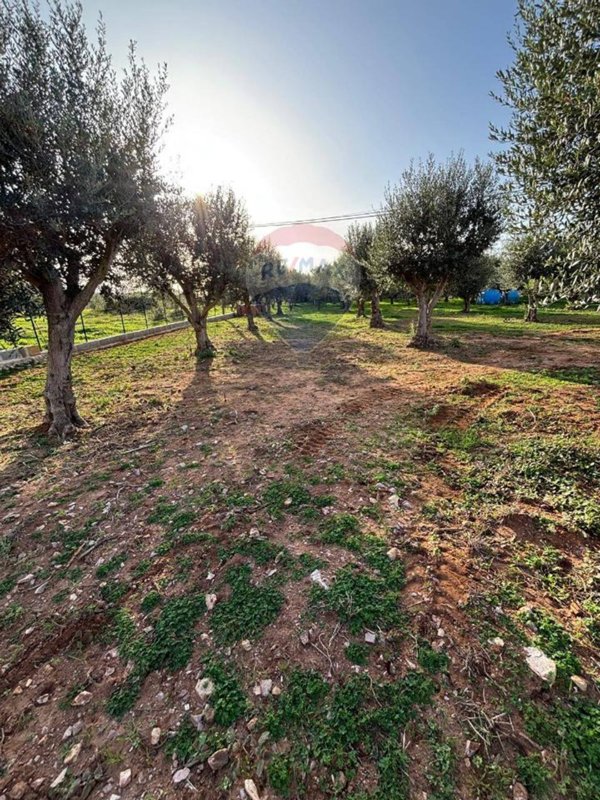terreno agricolo in vendita a Terrasini in zona Paternella