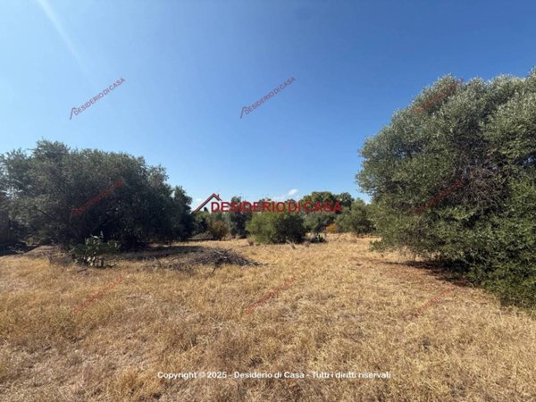 terreno agricolo in vendita a Terrasini