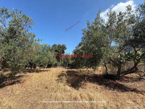 terreno agricolo in vendita a Terrasini