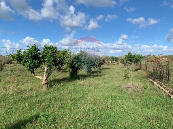 terreno agricolo in vendita a Terrasini in zona Paternella