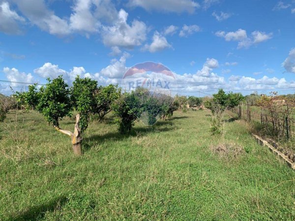 terreno agricolo in vendita a Terrasini in zona Paternella