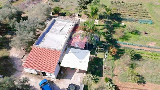 terreno agricolo in vendita a Terrasini