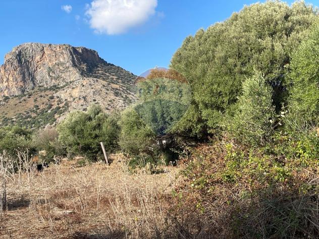 terreno agricolo in vendita a Terrasini in zona Paterna