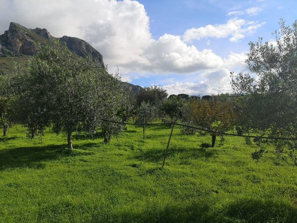 locale di sgombero in vendita a Terrasini