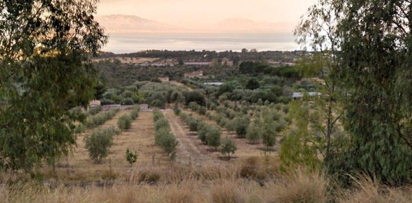 terreno agricolo in vendita a Terrasini
